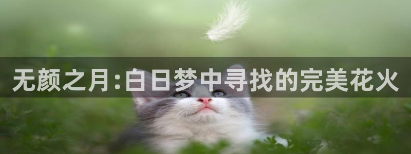 星空视频在线观看