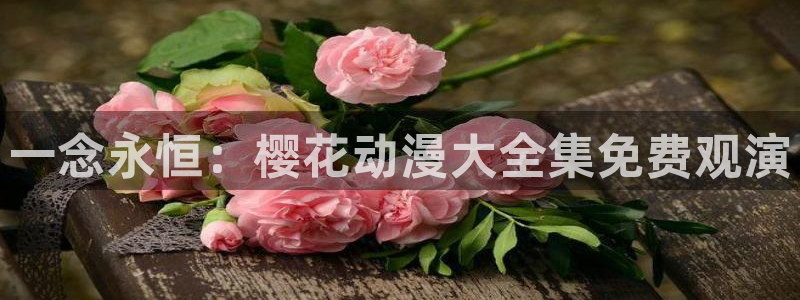 微影时光午夜影院