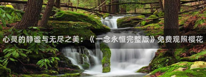 星空视频电影在线观看
