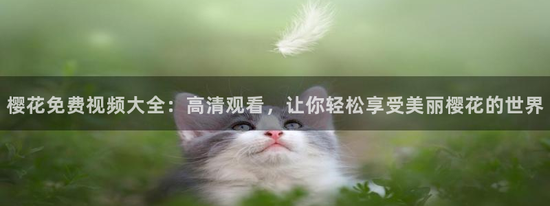 午夜影院免费播放的电视剧大全在线观看