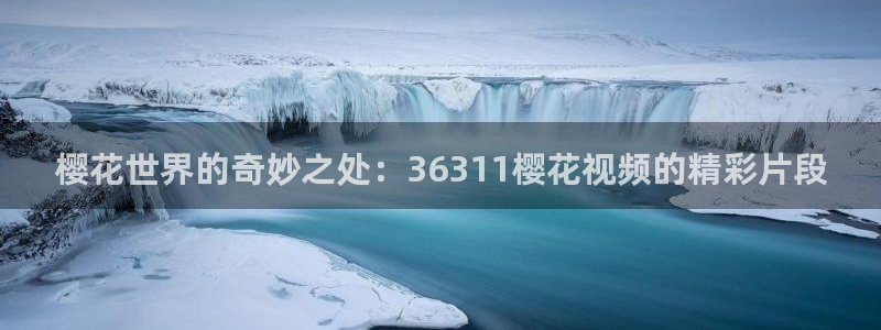 熊出没星空影视