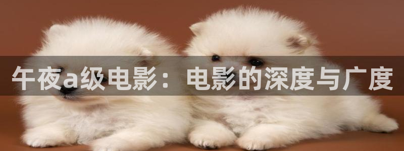 星空视频影视大全免费观看在线
