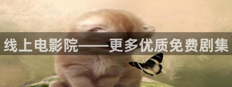 午夜影院