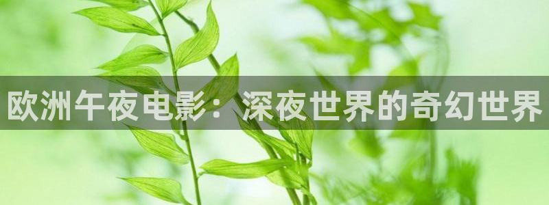 星空视频影视大全免费看