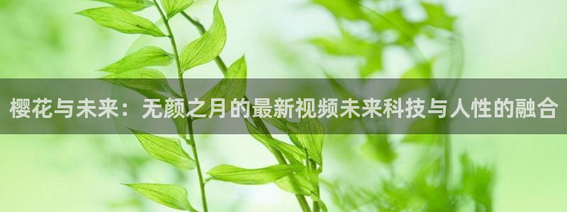 哈哈哈哈哈第二季免费观看完整版午夜影院