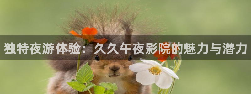 那片星空那片海电视剧