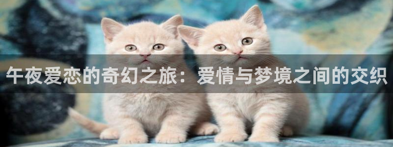 星空电影在线