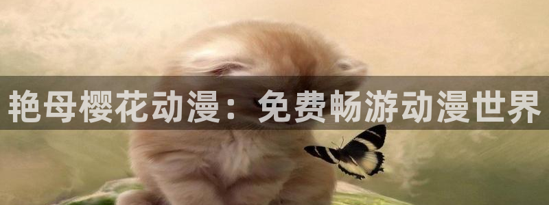 郑州午夜影院影讯