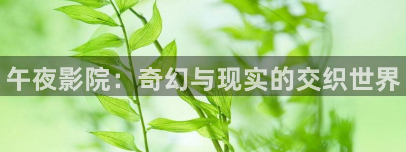 星空影城