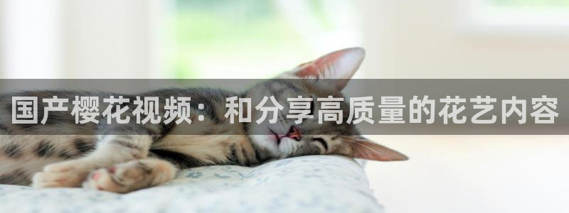 午夜影院最新