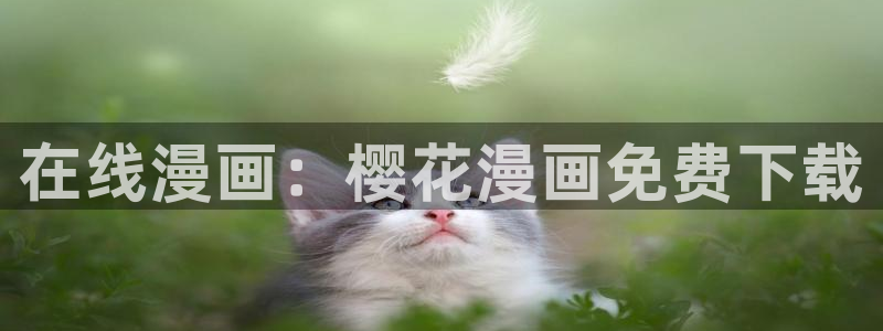 午夜影院大全在线观看免费观看