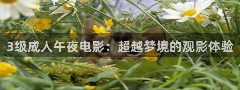 午夜影院午夜