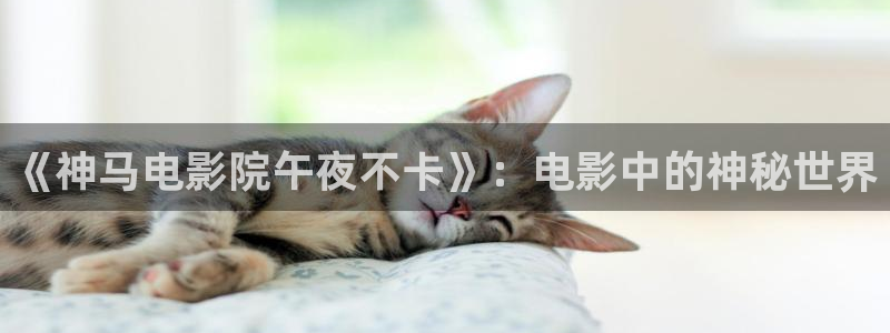 星空影城排片