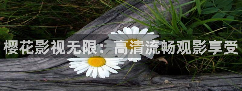 星空影视频道