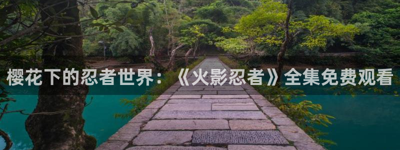 星空影视最新版本