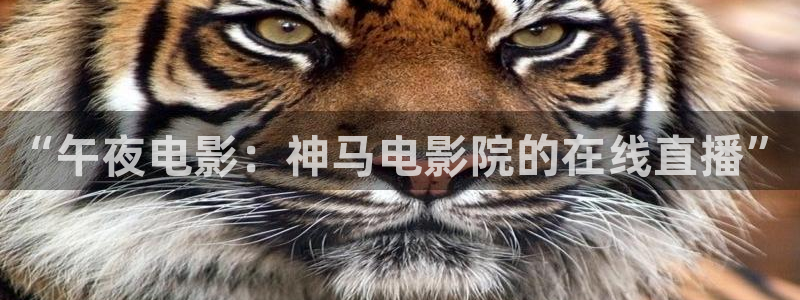 午夜影院在线观看免费观