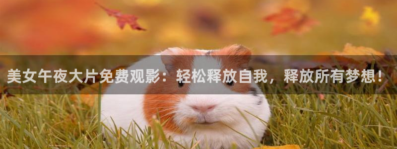 午夜影院在线播放免费观看视频