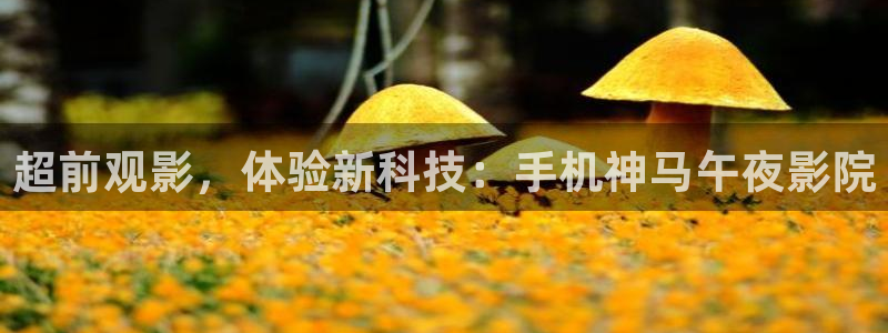 星空影视大全高清版